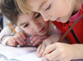 Pupil Premium Funding Cuts: Photo: Pixnio -  https://pixnio.com/people/children-kids/child-indoors-people-woman-education-girl-person-elementary-school-children