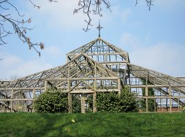 Image: Buile Hill Greenhouse Facebook