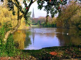 curtesy of creative commons - Broughton Park
