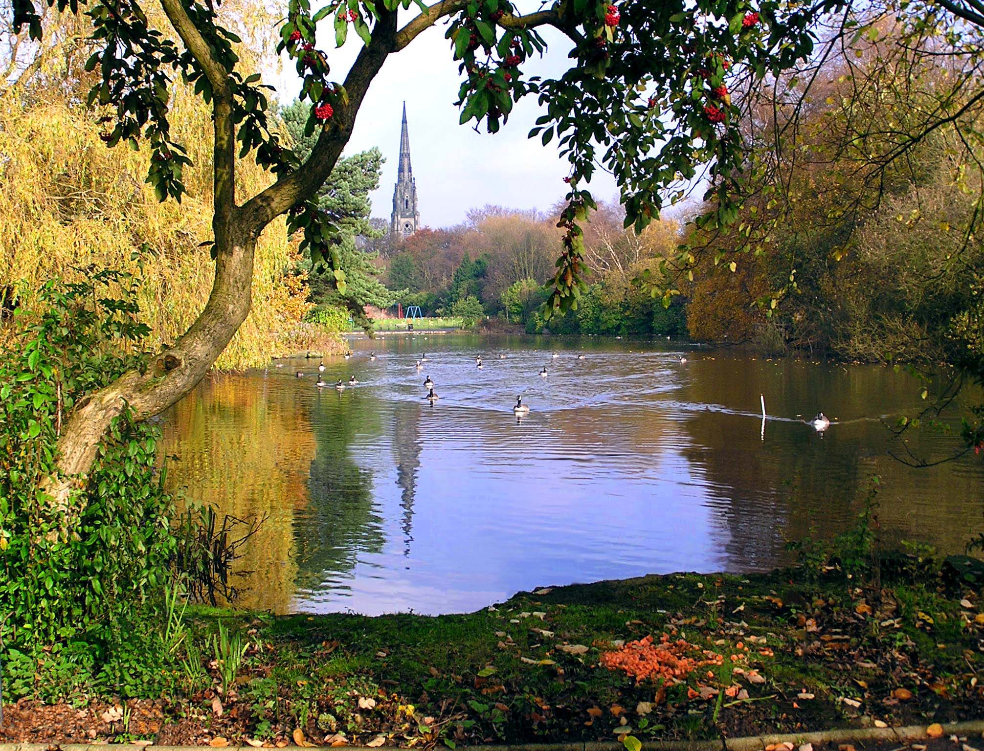 Consultation launched on community governance in Broughton Park area