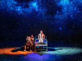 The “spectacular” Life of Pi returns to The Lowry this summer