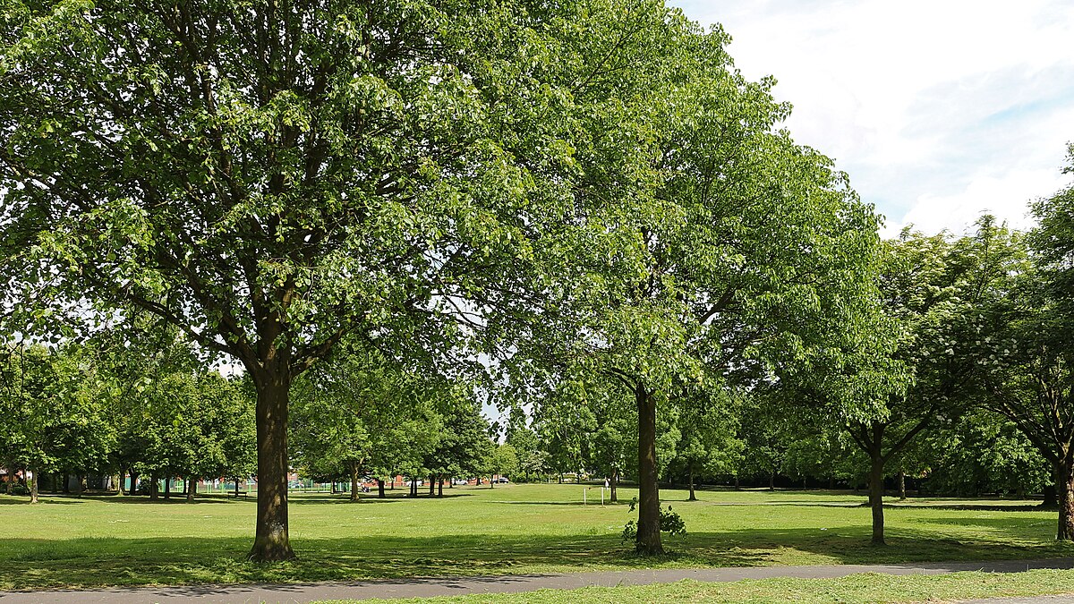 New Salford park to boost "biodiversity and natural habitats" in planned Strangeways regeneration