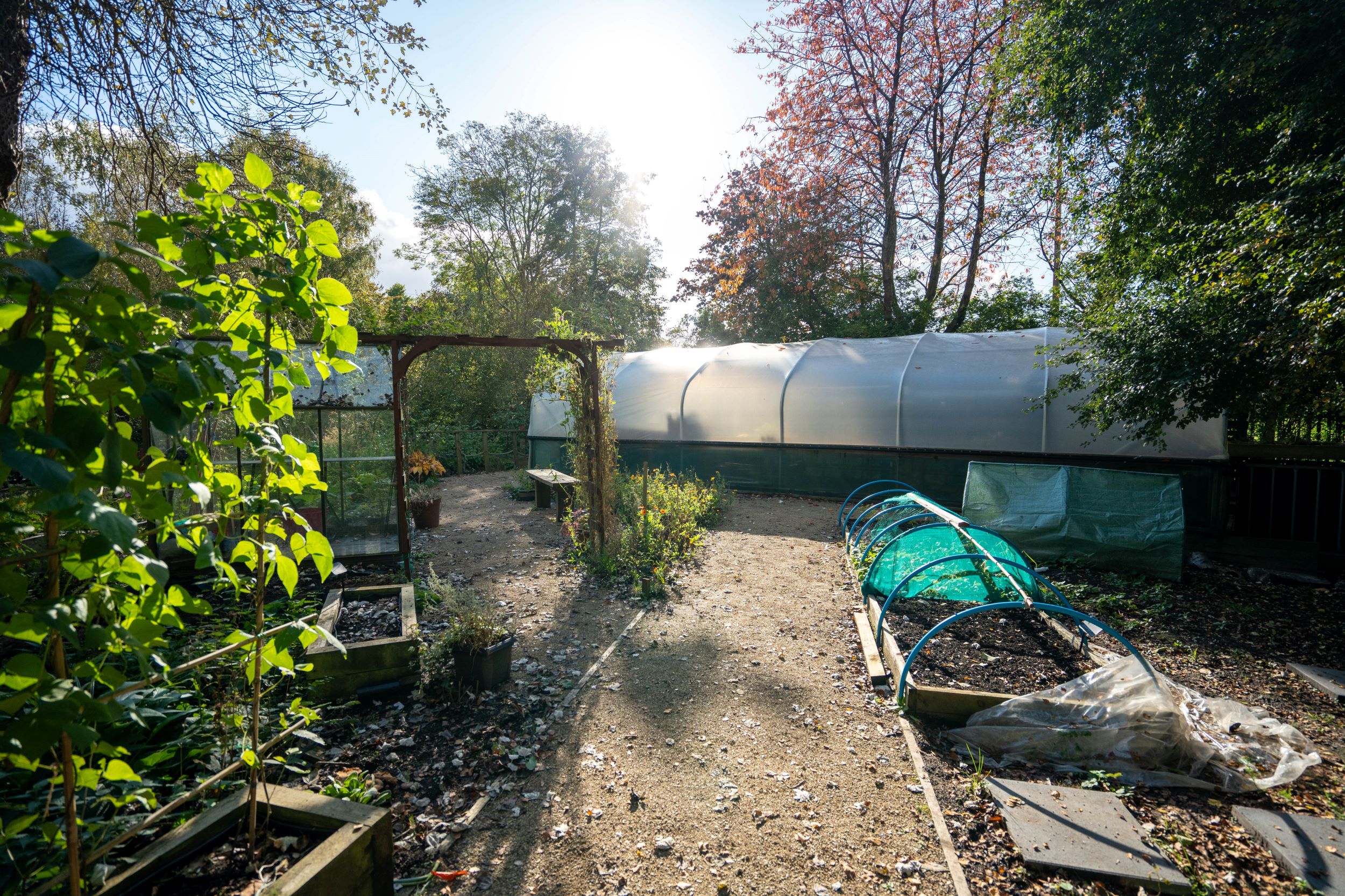 Green Salford: Eccles community garden receives sustainable rainwater collection system