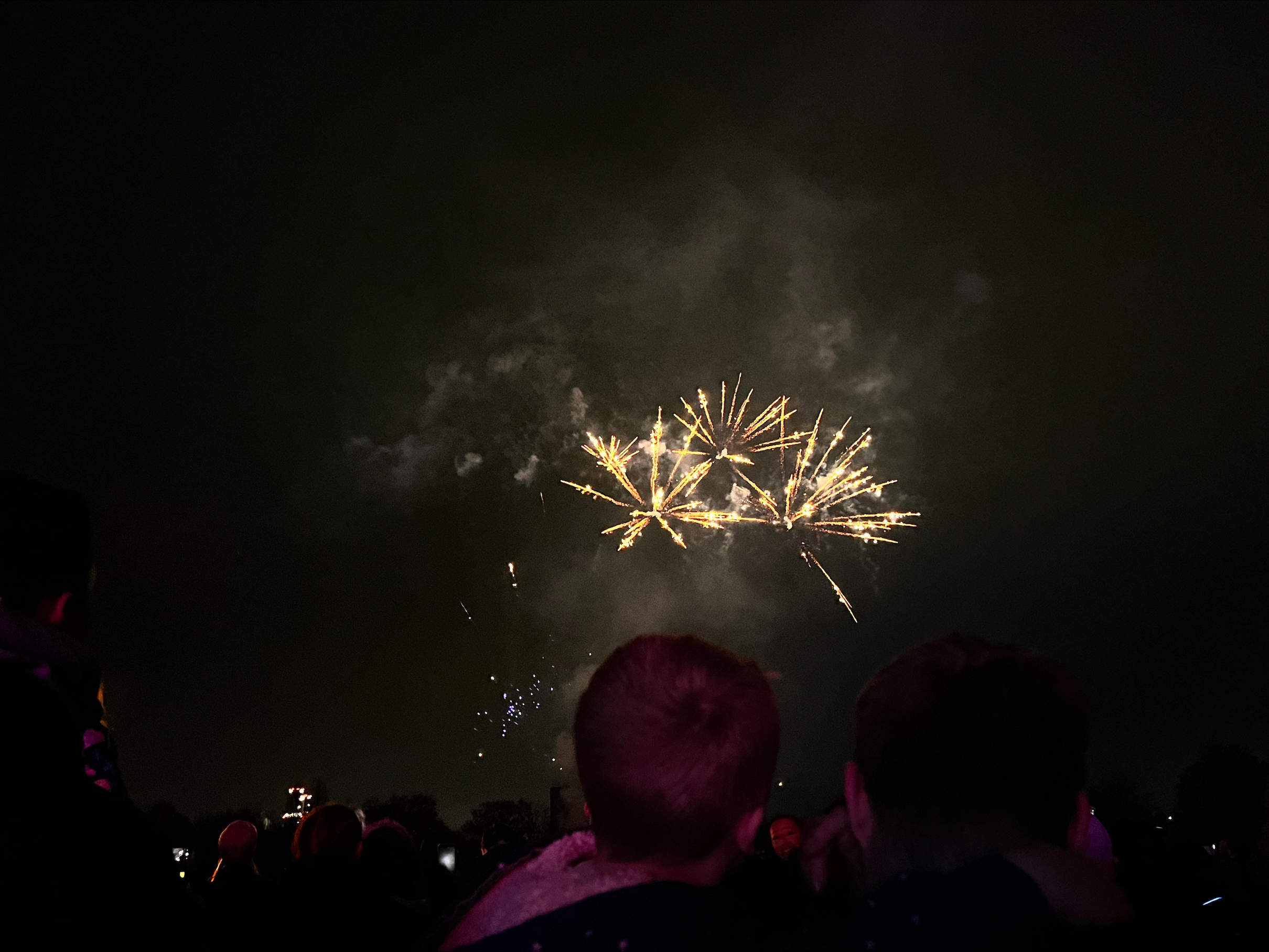 Salford firework display leaves guests disappointed after annual bonfire was scrapped to 'reduce carbon footprint'