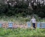 Salford Beekeeper calls for more communication and control on harmful pesticides