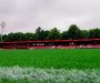 Salford City condemn a racial comment made towards midfielder Tyrese Fornah