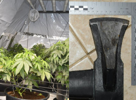 Cannabis farm and axe found in Salford