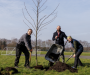 Salford school creates new woodland area planting over 600 trees