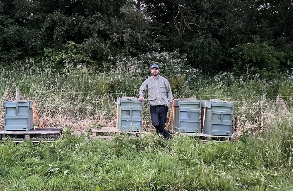 Dan from Dan and the bees on Asian Hornets