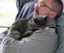 Life-saving surgery for family cats after shocking air rifle attacks