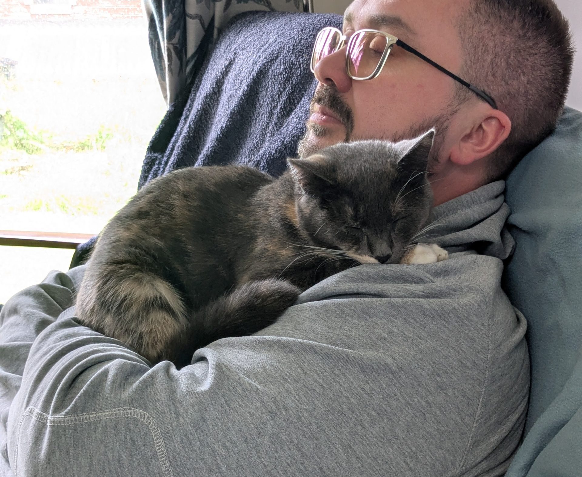 Life-saving surgery for family cats after shocking air rifle attacks