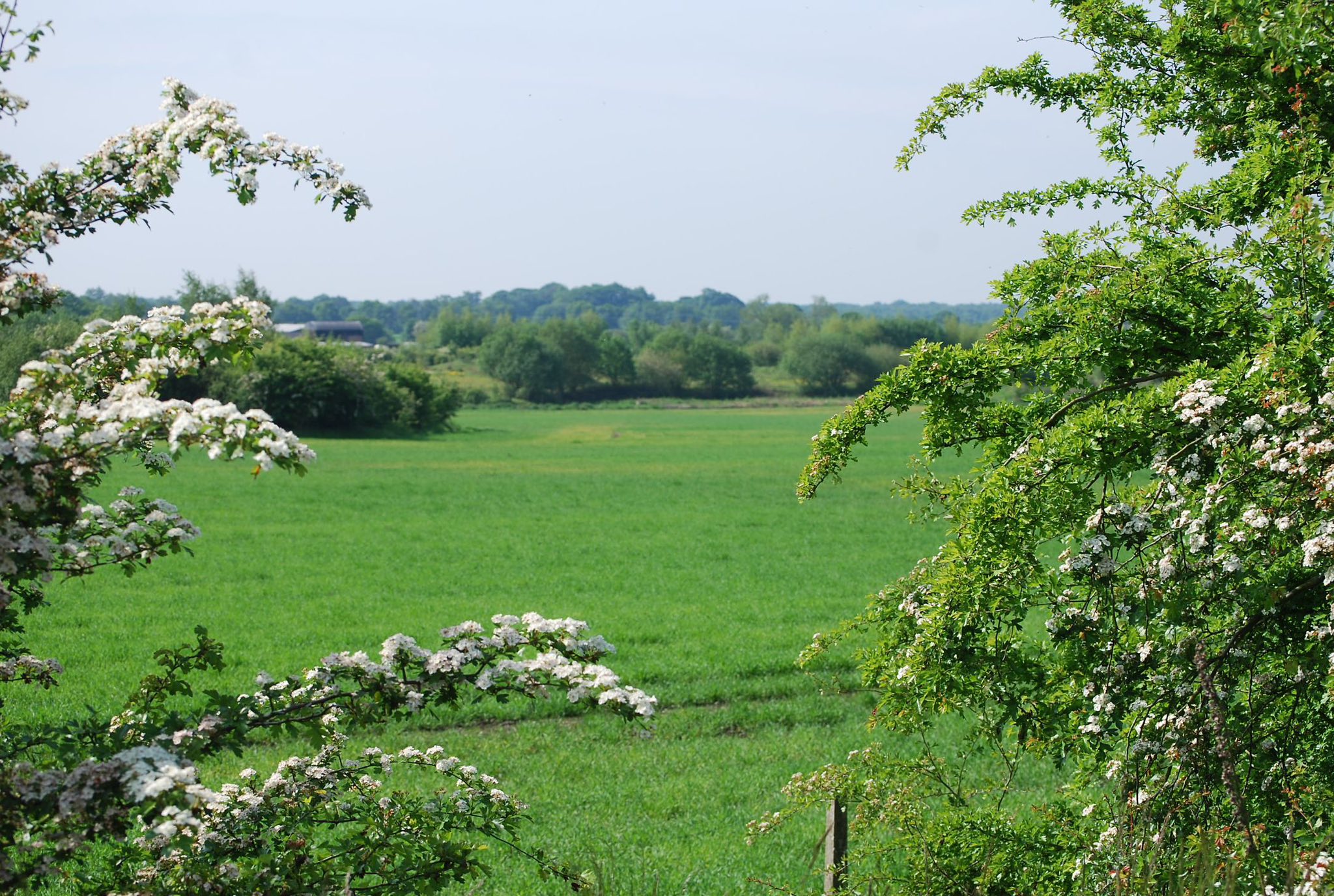 "A welcome outcome, but not the final one" - Salford MP hails decision to pause green belt housing plan