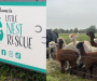 Cadishead animal rescue centre granted charity status after “years of hard work”