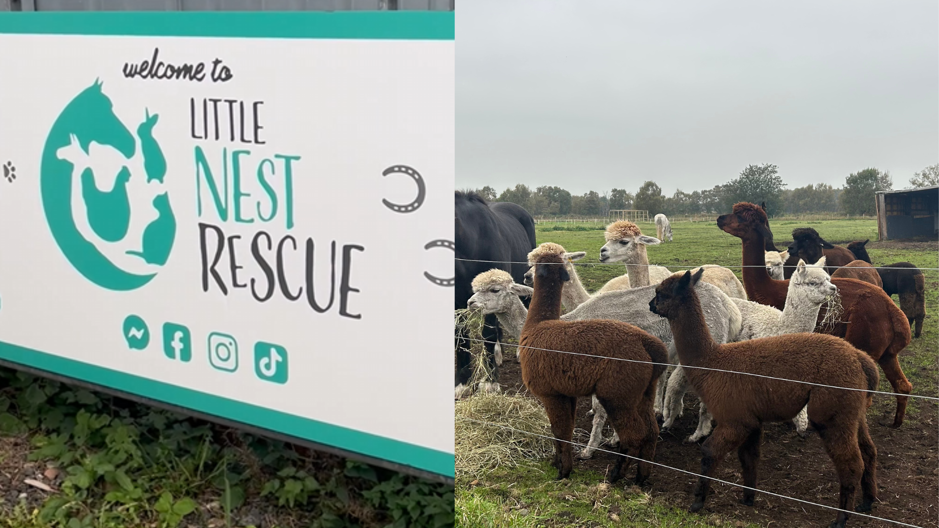 Cadishead animal rescue centre granted charity status after "years of hard work"