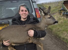 General Manager Christina Durham of Animals In Distress (Images: Christina Durham)