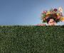 English National Opera to make North West debut as Albert Herring lands at The Lowry