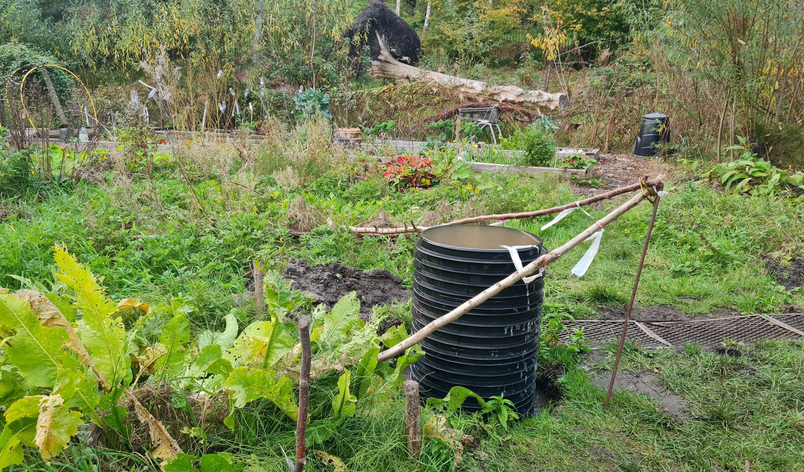 Natural spring unearthed at Buile Hill’s Growing Togetherness Garden