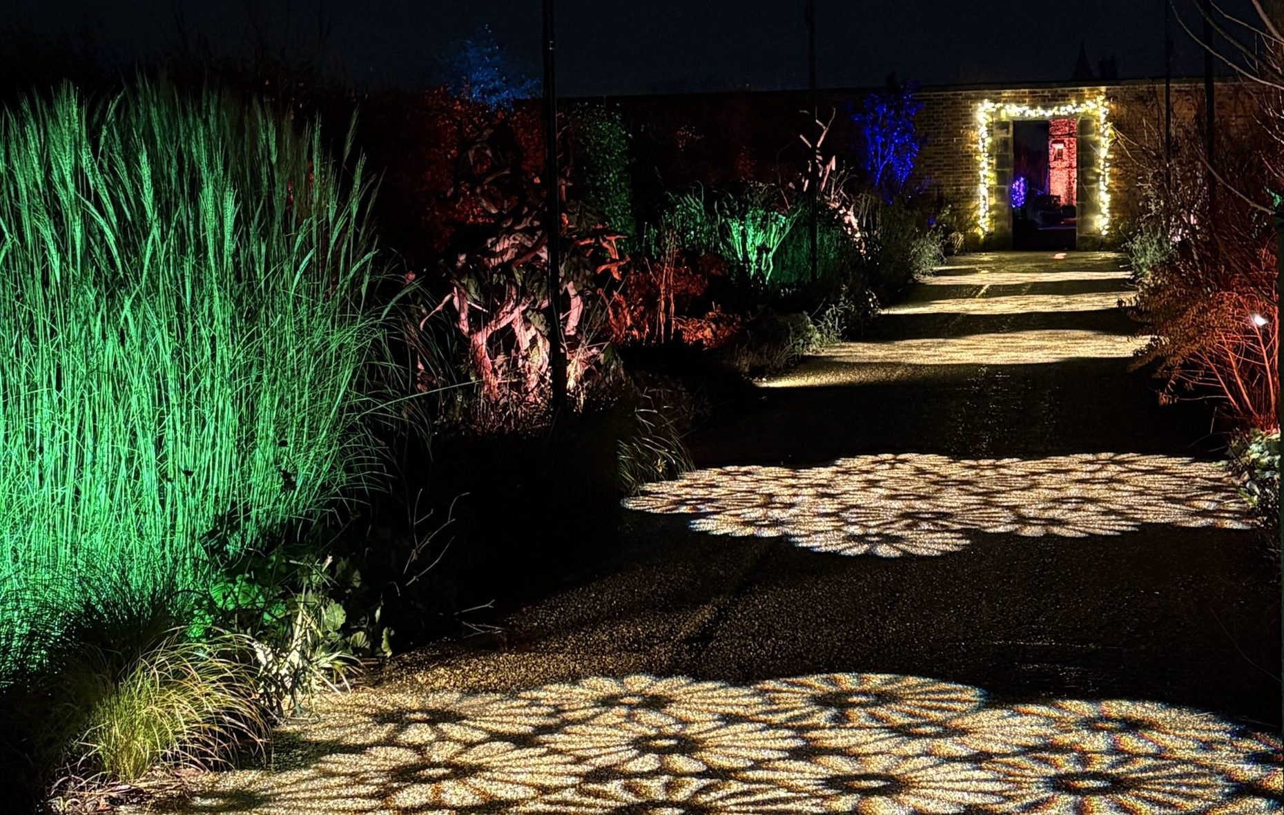 Annual RHS Bridgewater  'Glow' is back for 2025