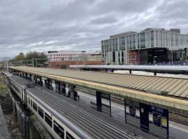 Image credit: Noah Buckingham Reed