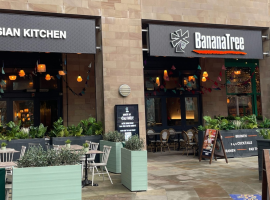 Banana Tree at Salford Quays.