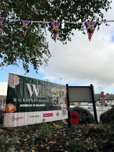 permission given to me by vice chair