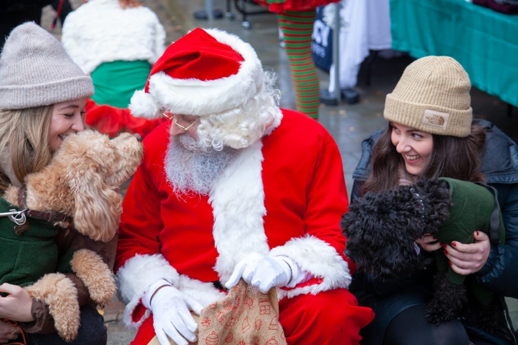 photos sent by pup culture